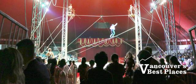 Circus Tightrope Walkers and Audience Silhouettes