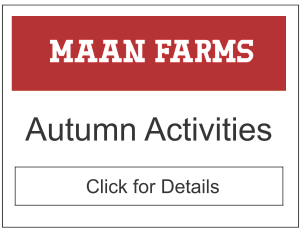 Maan Farms Autumn Activities