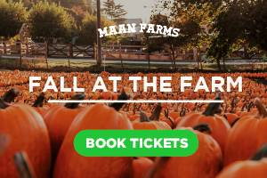 Maan Farms Fall at the Farm