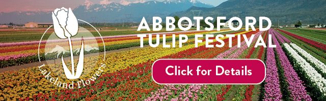 Abbotsford Tulip Festival