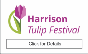 Harrison Tulip Festival