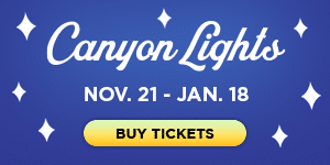 Canyon Lights at Capilano Bridge