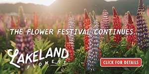 Lakeland Flowers